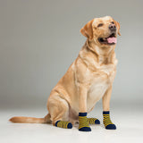 Supersox Dog Socks (Pack of 2) (8N)