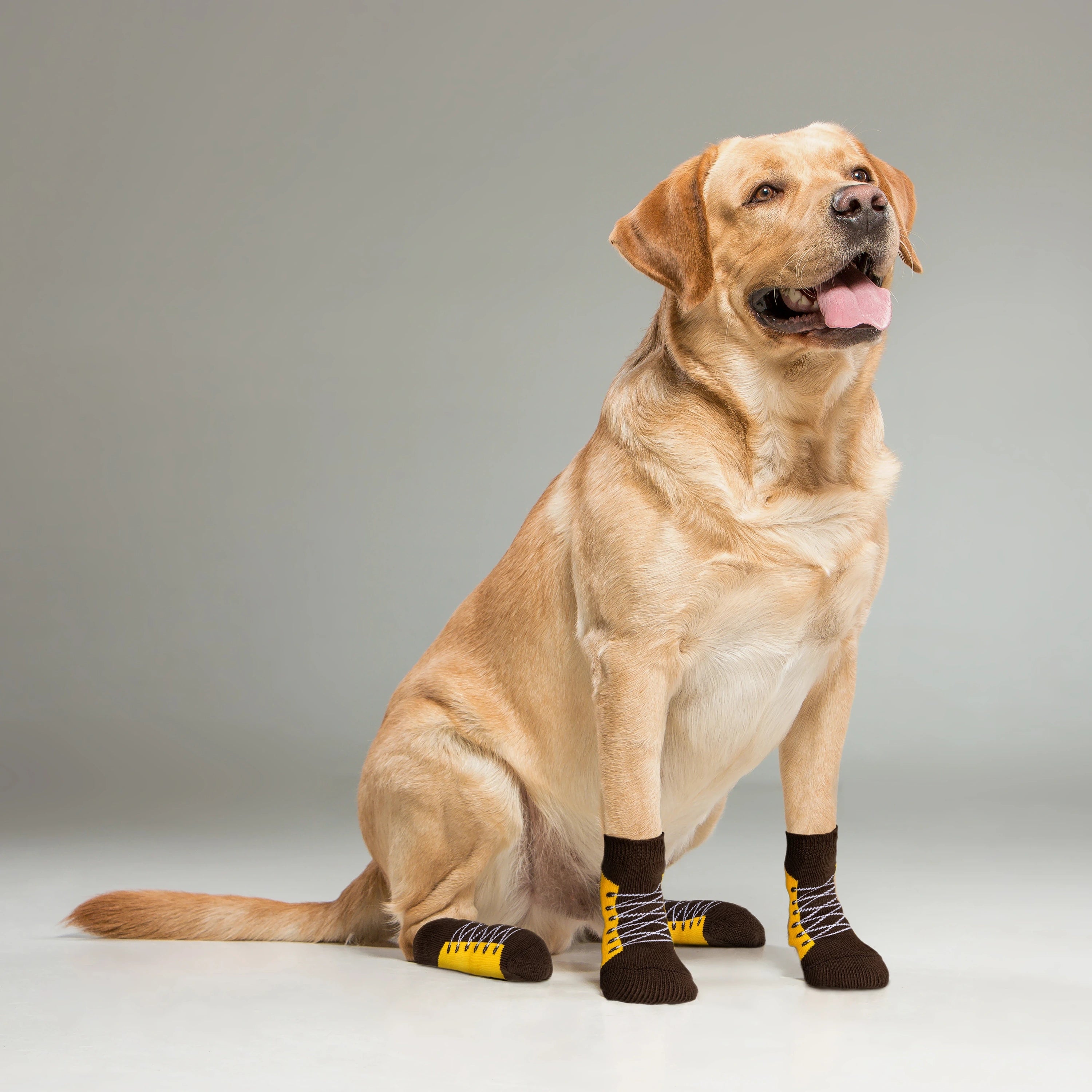 Supersox Dog Socks (Pack of 2) (8N)