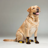 Supersox Dog Socks (Pack of 2) (8N)