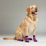 Supersox Dog Socks (Pack of 2) (8N)