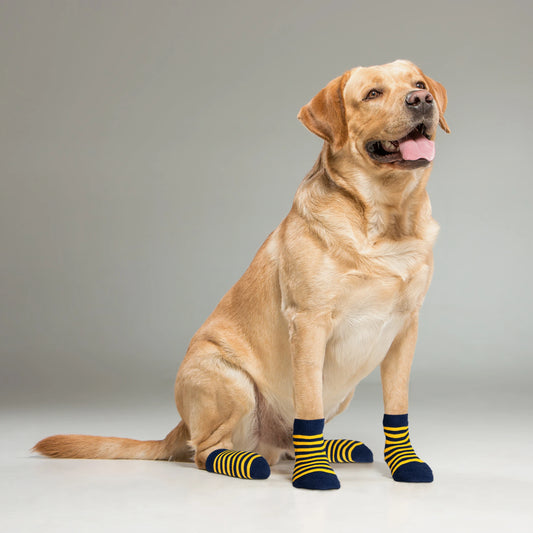 Supersox Dog Socks (Pack of 2) (8N)